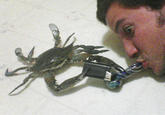 Helping A Bro Get A Bowl Source: "Tumblr":http://crabswithcigarettes.tumblr.com/post/43150774797