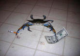 Smokes, Money, and The Blues Source: "Tumblr":http://crabswithcigarettes.tumblr.com/post/42660534653