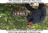 Cool, huh? The number still looks the same, even when it is flipped upside down. 1961