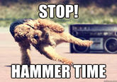 STOP! HAMMER TIME