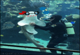 4 GIFS.com