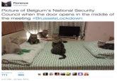 "source":https://twitter.com/flowindey/status/668559971630608387