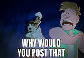 WHY WOULD YOU POST THAT
