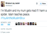 Mirakool Jay Jaziah ImMirakool な Follow I'm Muslim and my mum gets mad if I harm a spider. Islam teaches peace. #YouAintNoMuslimBruv RETWEETS LIKES 365 896 3:24 PM- 6 Dec 2015 Poplar,London