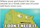 When your girl hasn't let you smash in a week and one of your old hoes texts you IDON'T NEED IT