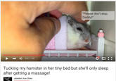 Please don't stop, Daddy! "Please don't stop, Daddy!" HD ▶ 0:37 / 1:38 Tucking my hamster in her tiny bed but she'll only sleep after getting a massage! Jaieden Ace Shern