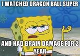I WATCHED DRAGON BALL SUPER AND HAD BRAIN DAMAGE FOR 2 YEAR mem egenerator.net