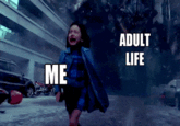In a nutshell ADULT ME