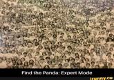 Find the Panda: Expert Mode ifunny.ce