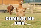 COME AT BRO ME