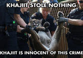 KHAJIT STOLE NOTHING KHAJIIT IS INNOCENT OF THIS CRIME
