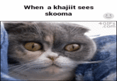 When a khajiit sees skooma 4GIFs .com
