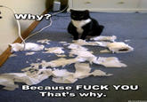 "Found here":http://www.buzzfeed.com/donnad/the-10-best-of-why-because-ffffuuuu#.pfWgeNR954