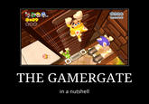 0x09 THE GAMERGATE in a nutshell
