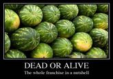 YourOwa Demotivational.co DEAD OR ALIVE The whole franchise in a nutshell