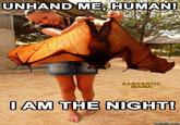 Image via <a href="http://imgbuddy.com/baby-bat-i-am-the-night.asp">imgbuddy</a>