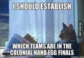 ISHOULD ESTABLIsH WHICH TEAMS ARE IN THE COLONIAL HAND EGG FINALS MEMEFUL COM