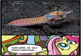 "original image sourced from a comment":https://knowyourmeme.com/photos/1073404-my-little-pony-friendship-is-magic
Warning: NSFW
