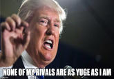 Yuge Author not me tho