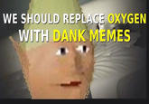 WE SHOULD REPLACE OXYGEN WITH DANK MEMES