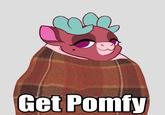 Get Pomfy