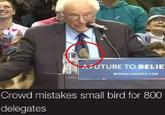 IAFUTURE TO BELIE BERNIESANDERS.COM Crowd mistakes small bird for 800 delegates