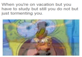 When you're on vacation but you have to study but still you do not but just tormenting you.