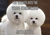 YOU WIALKED INTO THE WRONG NEIGHBORHOOD MOTHAFLUFFER