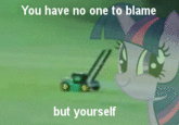 the only one to blame You have no one to blame but yourself