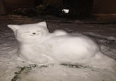 "*Source*":http://sleeplessasian.tumblr.com/post/137960468522/tubbs-the-snow-cat