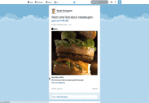 Random McAnyperson Here's some facts about cheeseburgers gph.to/1z48u9S Shon URL Vew on en wkipeda org 37 PM-23 20 a GIPHY