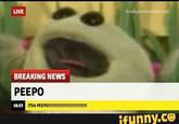 LIVE BREAKING NEWS PEEPO 18:23 ITSA PEEPO!IIIERIUIIEruNEnr! funny.ce