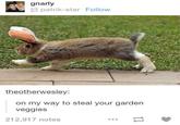 gnarly patrik-star Follow theotherwesley: on my way to steal your garden veggies 212,917 notes