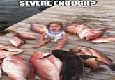 the fish circle of shame is a tried and true method of discipline