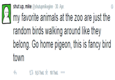 shut up, mike @shutupmikeginn-30. Apr my favorite animals at the zoo are just the random birds walking around like they belong. Go home pigeon, this is fancy bird town 9,5 Tsd. ★ 18 Tsd.
