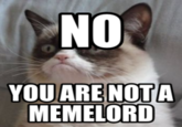 NO 0 YOU ARE NOTA MEMELORD