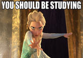 Elsa Thinks You Should Be Studying "source":http://youreallyshouldbestudying.tumblr.com/post/73419816150
