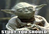Listen to Yoda, You Shall "source":http://youreallyshouldbestudying.tumblr.com/post/69495271308