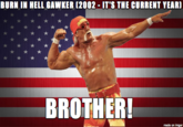 Burn in Hell Gawker Hulk Hogan Image Macro "Imgur":http://imgur.com/E6yD1Vy