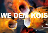 WE DE KOIS