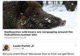 Radioactive wild boars are rampaging around the Fukushima nuclear site independent.co.uk Louis Porter Jr 2 hrs Do you want Orcs? Because this is how we get Orcs.