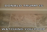 Donald Trump is watching you poop http://wtvr.com/2016/06/08/donald-trump-bathroom-floor-tile/