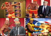 Hulk Hogan's Gain