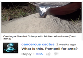 Casting a Fire Ant Colony with Molten Aluminum (Cast #043) cancerous cactus 2 weeks ago What is this, Pompeii for ants? Reply 336 é 퀴