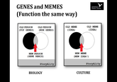 GENES and MEMES (Function the same way) Universityof Westem Sydney OLD MEME OLD MEME OLD PERsOn OLD PERSON (POP GENES(MOM GENES) IDEA) IDEA) NEW PERSON GENE REMIX) NEW MEME NEW IDEA!) StoryAlity StoryAlity BIOLOGY CULTURE