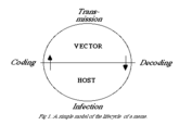Trans- missiorn VECTOR Coding Decoding HOST Infection FAimpe ie/crchefi*rJe xe