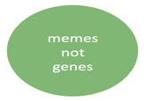 memes not genes
