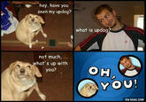Oh, You! hey, have you seen my updog? what is updog SP not much, what's up with you? YOU VIA 9GAG.COM