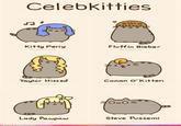 Celebkitties oltta 火ㅅ Kitty Perry Fluffin Bieber Pusheen com Pusheen.com Taylor Hissed Conan O' Kitten Pusheencom Pusheen.com Lady Paupaw Steve Pussemi Pusheen.com Pusheen.com ROFLRAZZICOM