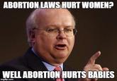 ABORTION LAWS HURT WOMEN? WELL ABORTION HURTS BABIES imgfip.com